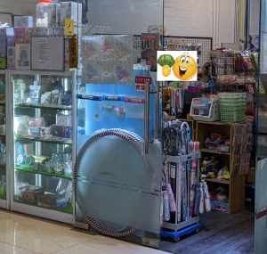 Shop
